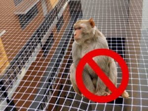 Invisible grills installed by Srinook Ambika Safety Grills for Homes & Buildings