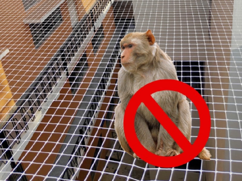 Invisible grills installed by Srinook Ambika Safety Grills for Homes & Buildings